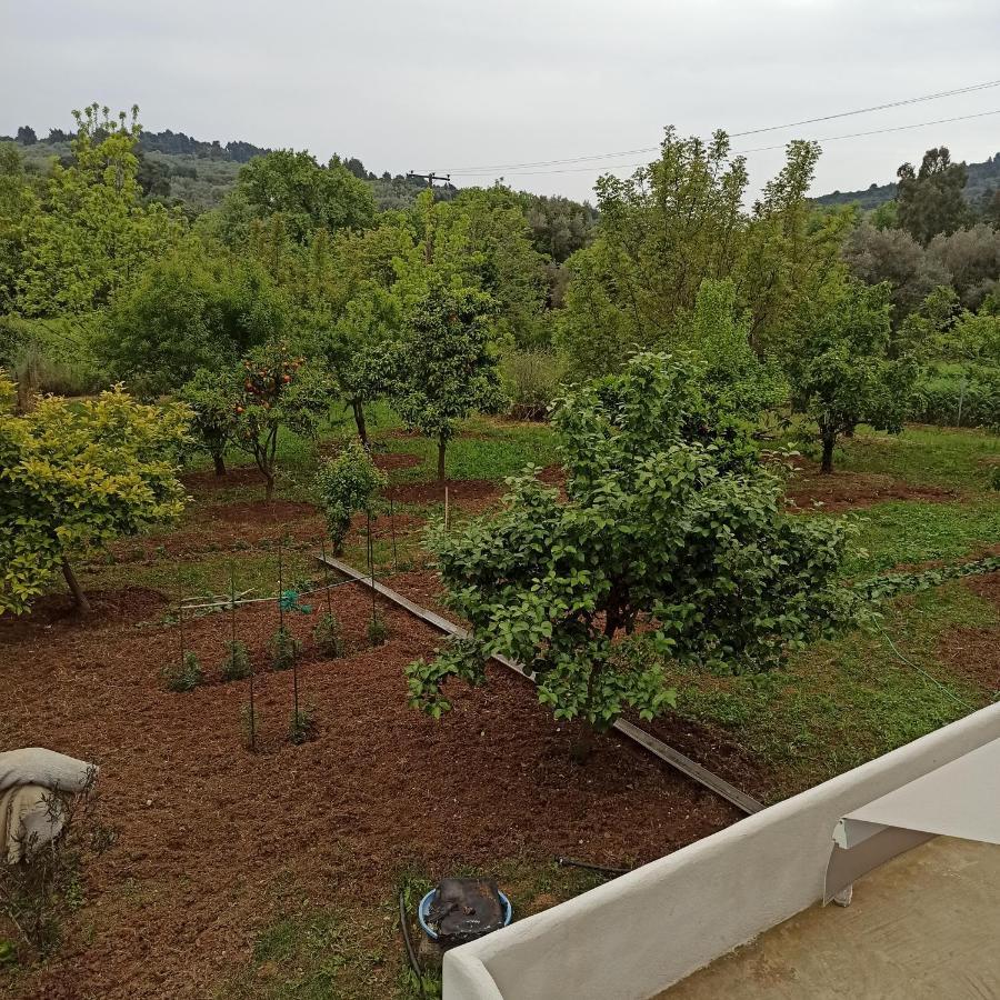 Líri Εξοχική Κατοικία - Cottage Τίνα מראה חיצוני תמונה